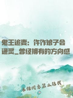 鬼王追妻：仵作娘子会通灵