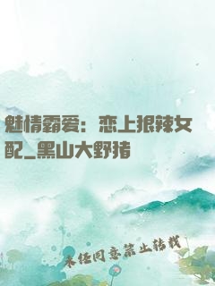 魅情霸爱：恋上狠辣女配