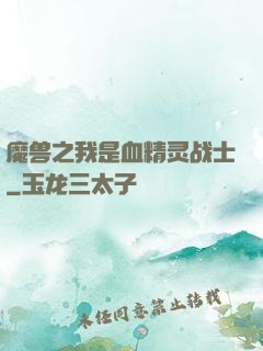 魔兽之我是血精灵战士