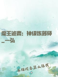 魔王追妻：神级炼器师