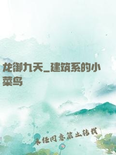 龙御九天